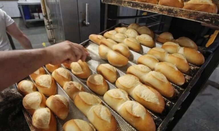 CRISIS DEL PAN: CENTENARES DE LOCALES BAJAN LA PERSIANA POR LA CAÍDA DEL CONSUMO